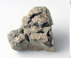 Foto von Coelestin (NHMW-MIN-Ac681)